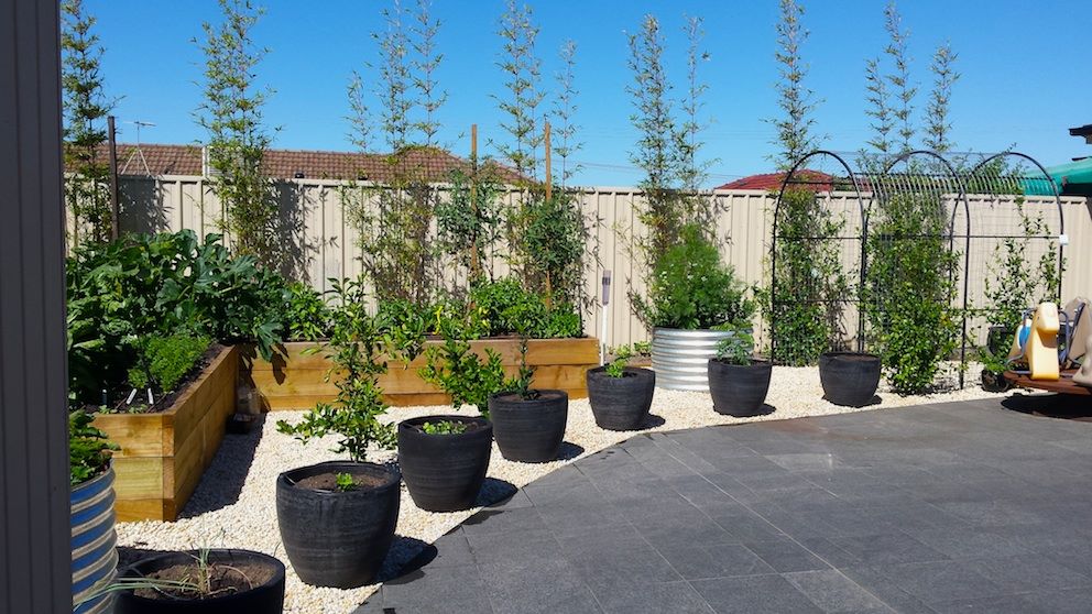Installed food gardens in Glenelg Adelide